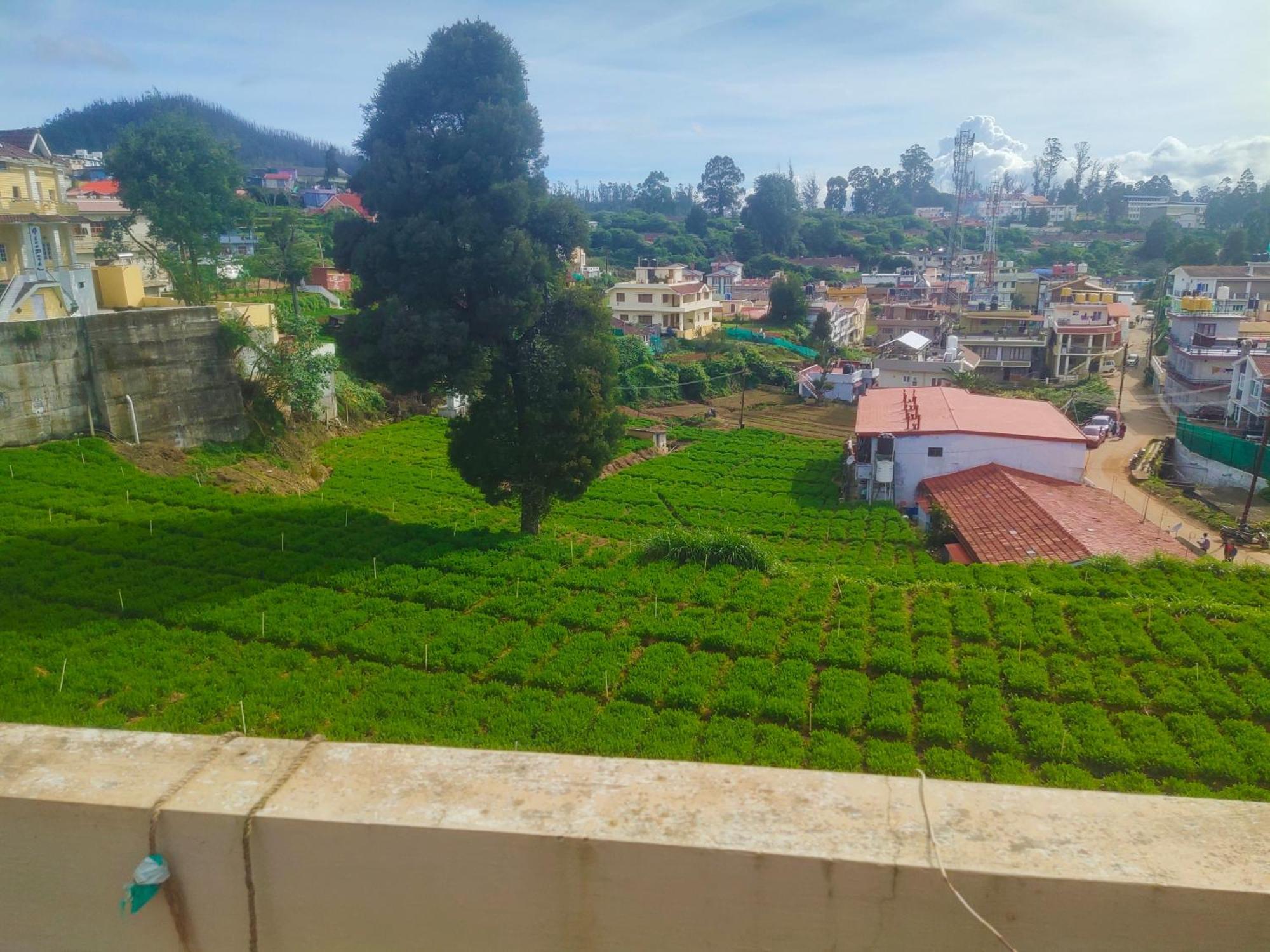 Ooty Mountain Cottage Exteriör bild